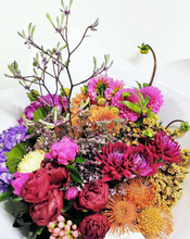 Load image into Gallery viewer, Bold & Bright Mix