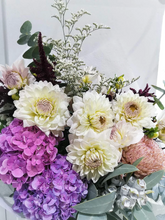 Load image into Gallery viewer, Pastel Mix - Bear Trader