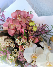 Load image into Gallery viewer, Pastel Mix - Bear Trader