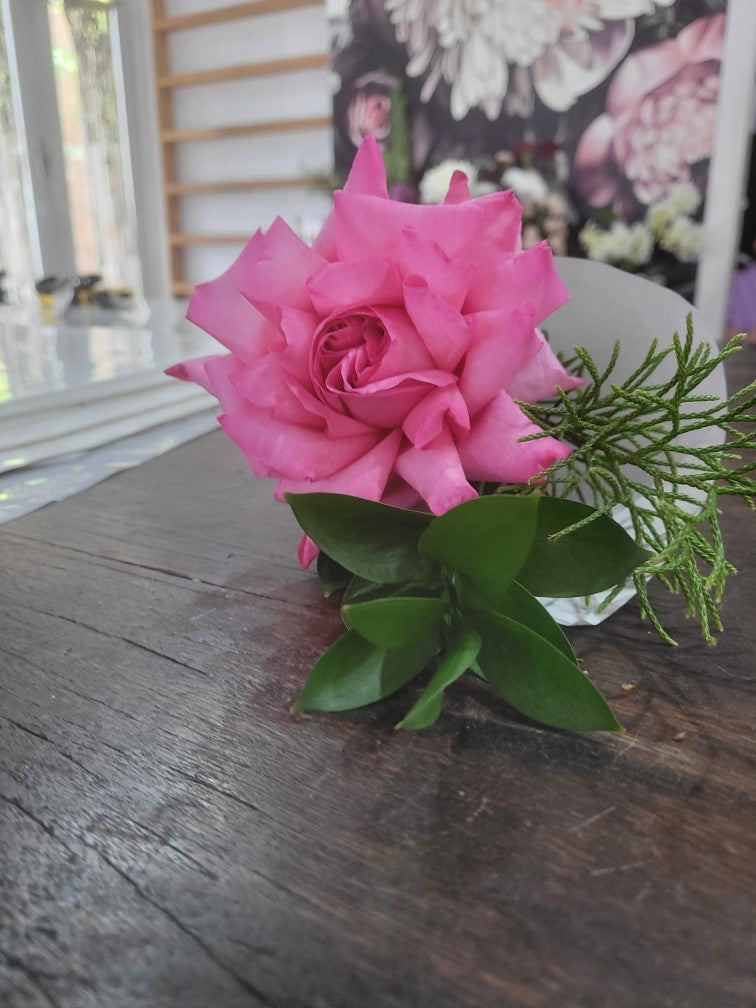 Little Dancer Single Rose