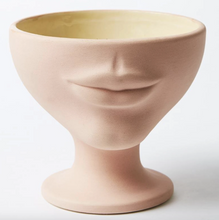 Load image into Gallery viewer, Face pot
